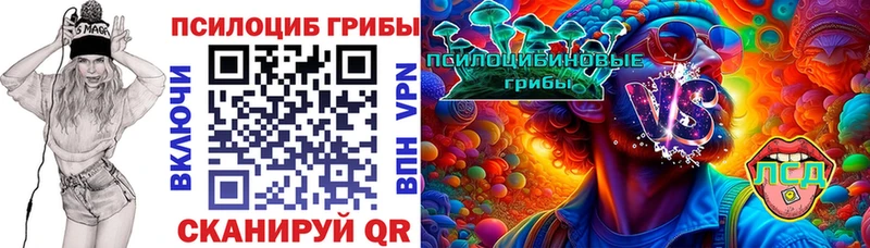 Галлюциногенные грибы MAGIC MUSHROOMS  как найти закладки  Сковородино 